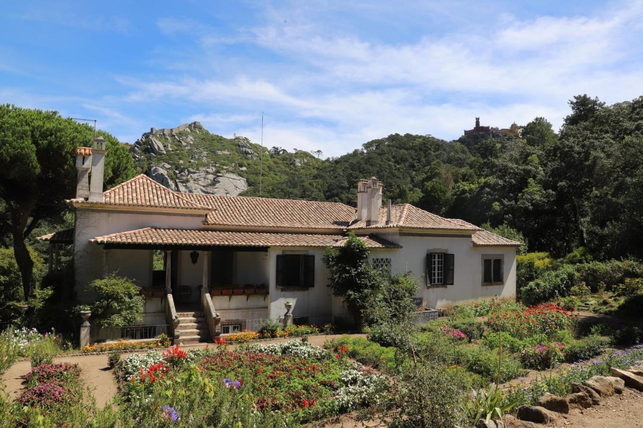 Chalet Chapeu De Sol - Sintra Dış mekan fotoğraf