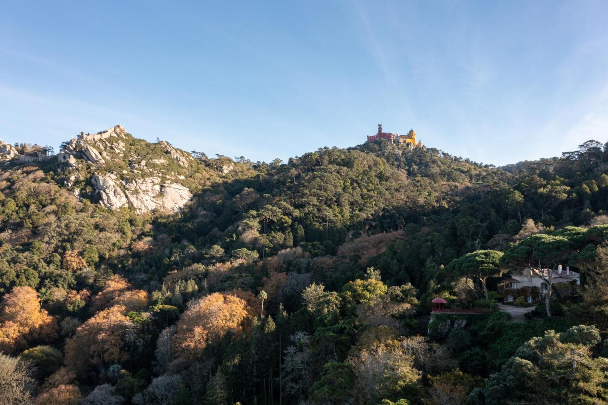 Chalet Chapeu De Sol - Sintra Dış mekan fotoğraf