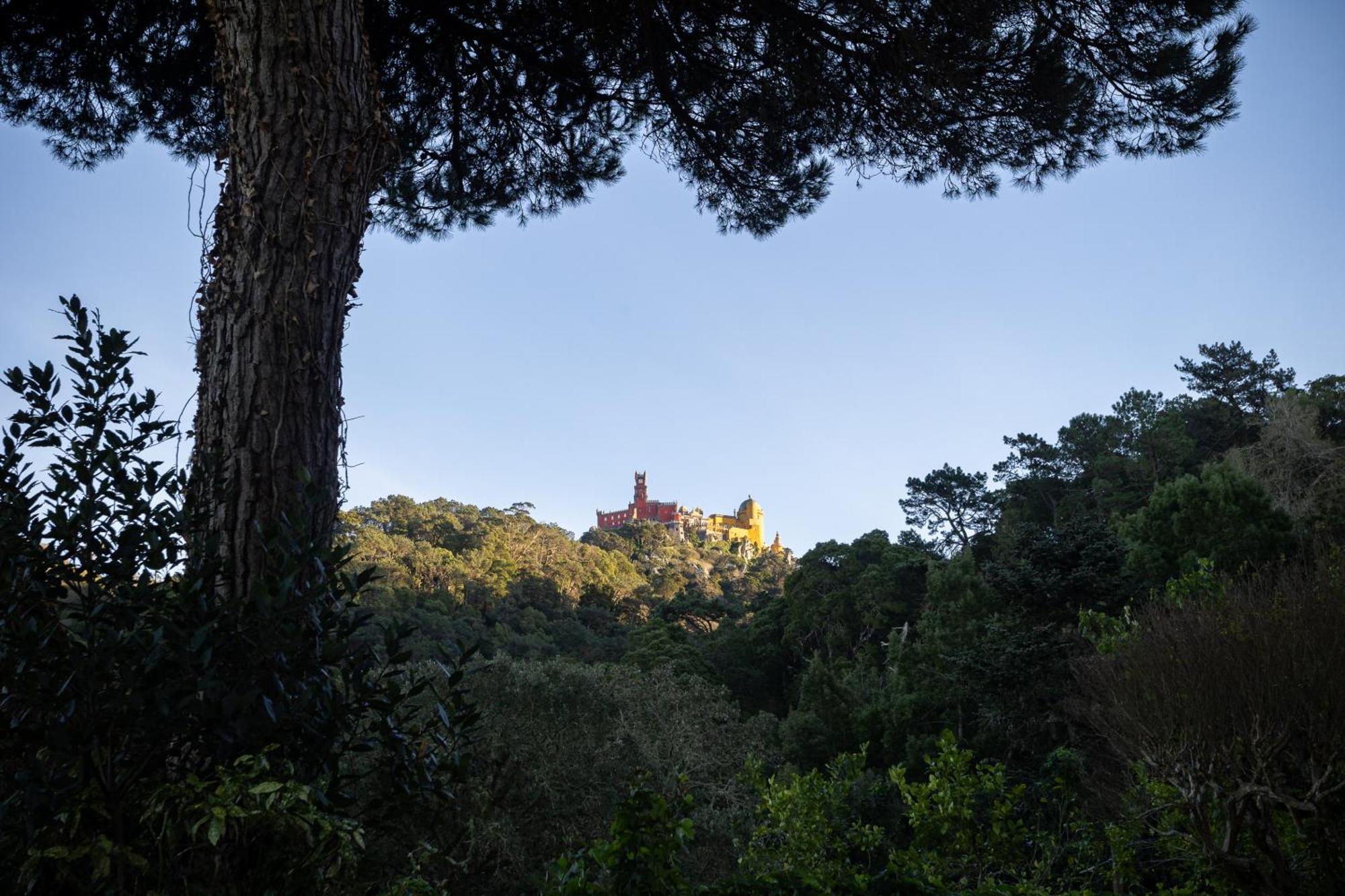 Chalet Chapeu De Sol - Sintra Dış mekan fotoğraf