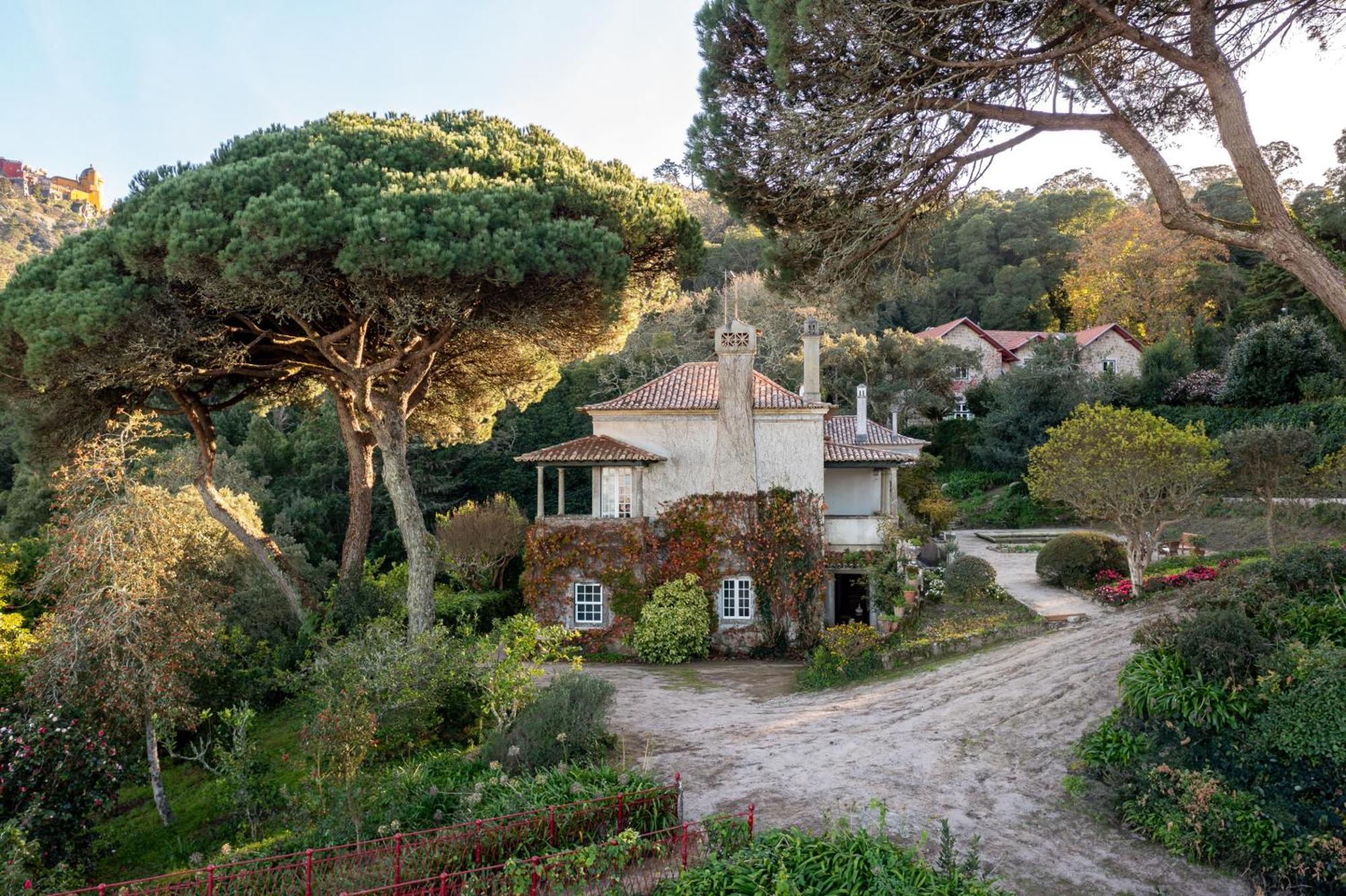 Chalet Chapeu De Sol - Sintra Dış mekan fotoğraf