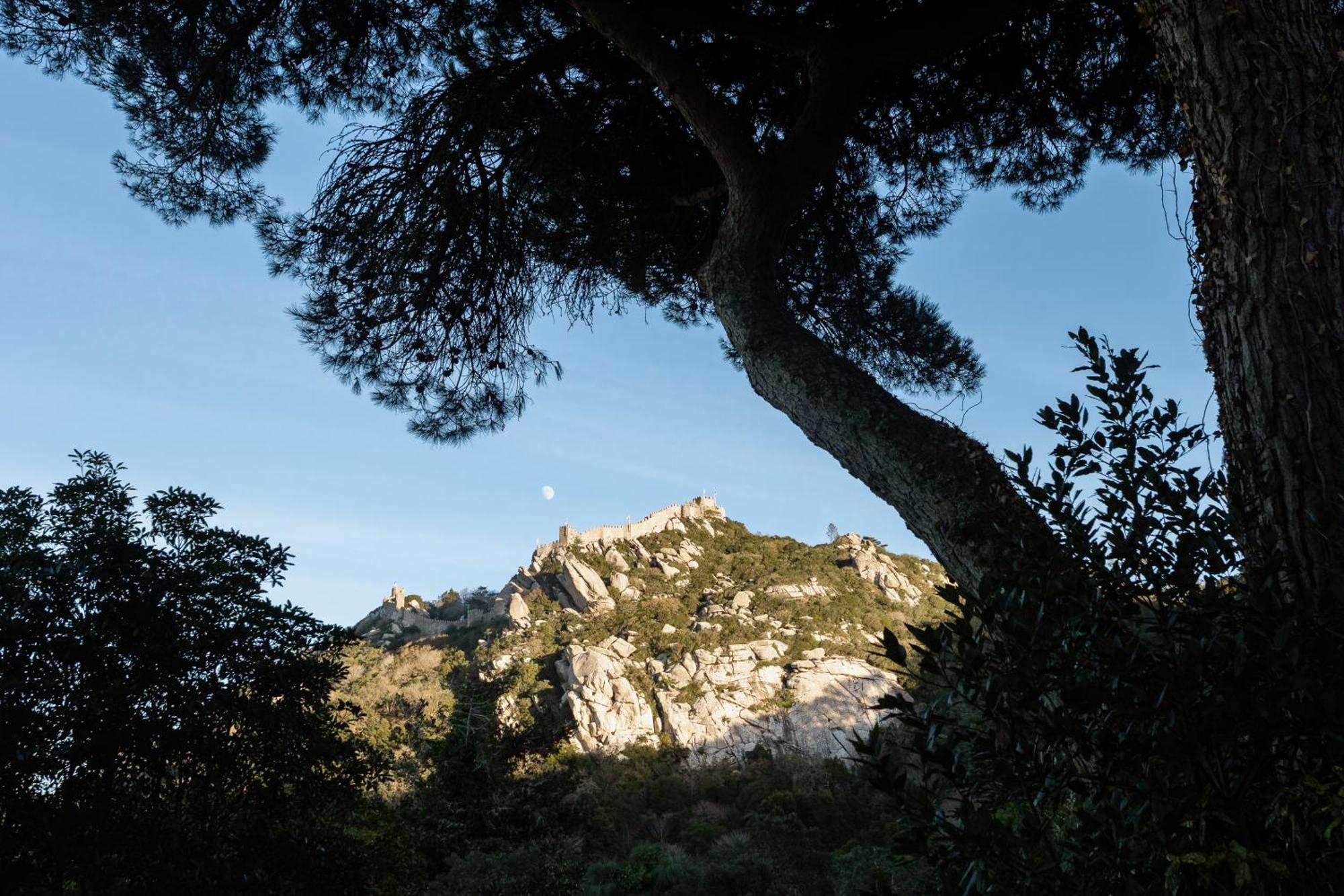 Chalet Chapeu De Sol - Sintra Dış mekan fotoğraf